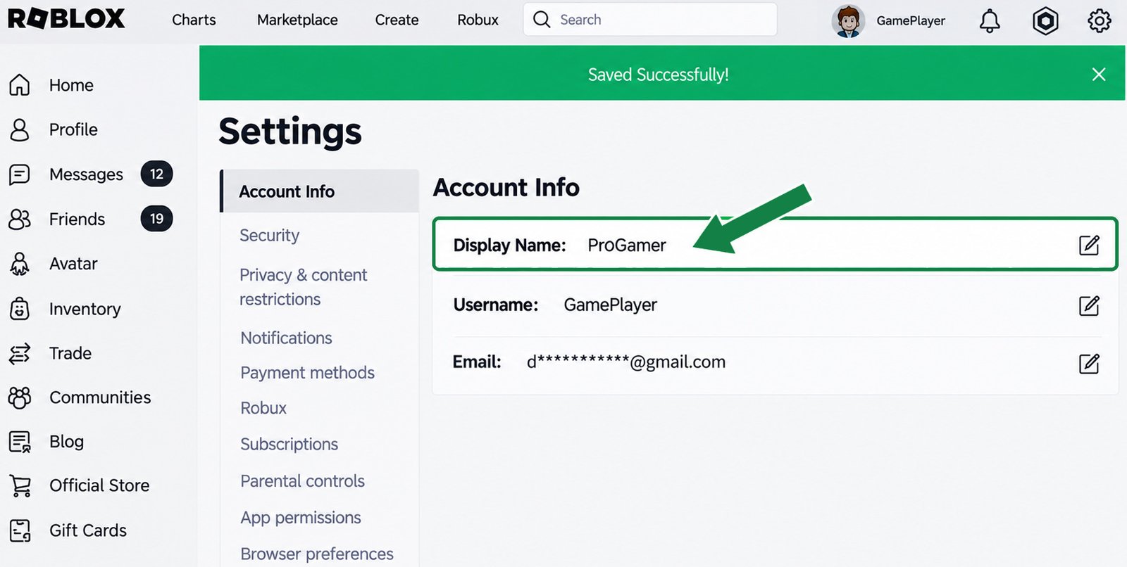 Roblox Account Info showing the changed Display Name