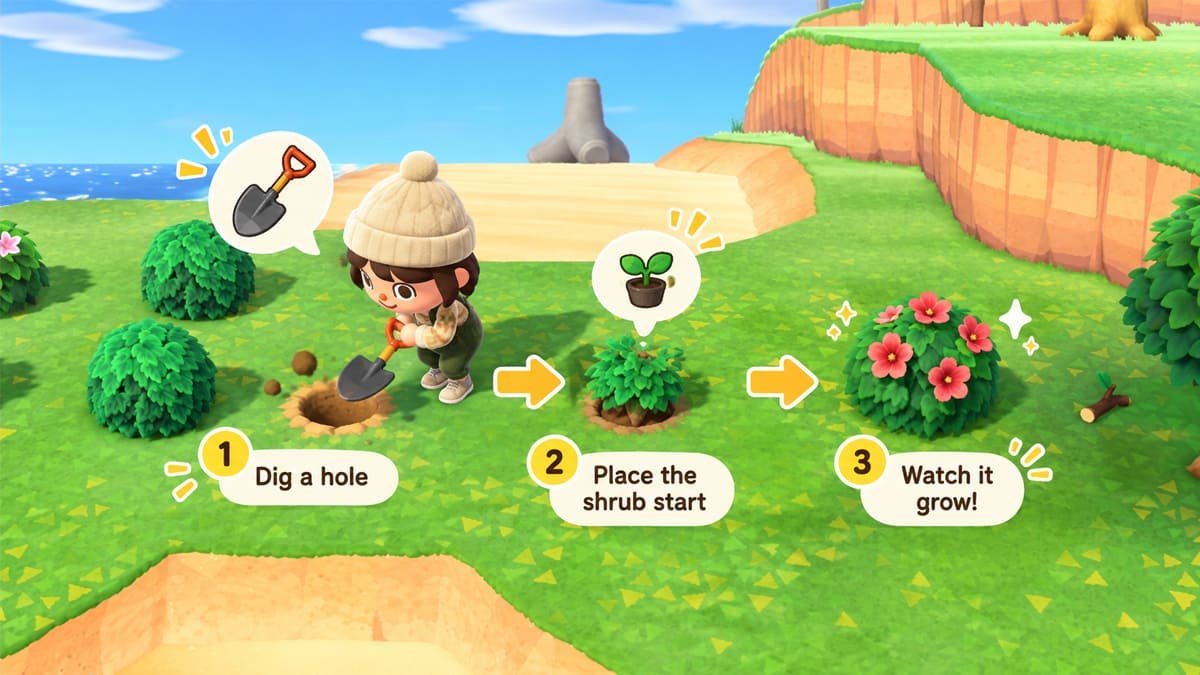 Three steps for planting bushes in Animal Crossing: New Horizons: dig a hole, place a shrub start, and let it grow.