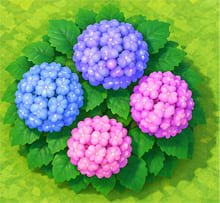 Hydrangea bushes with blue and pink flower clusters in ACNH