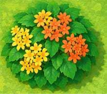 Tea-olive bushes with yellow and orange flowers in ACNH